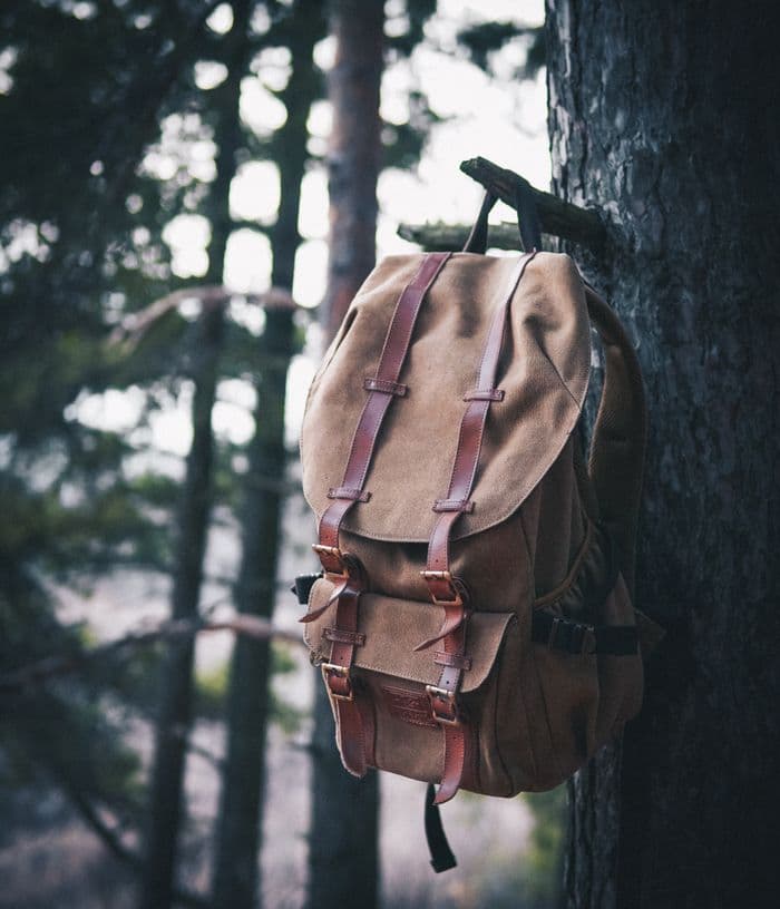 Everyday Canvas Backpack